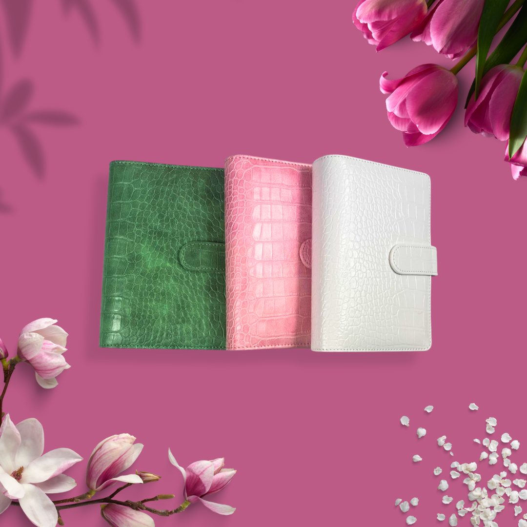 Budget Binders  & Inserts