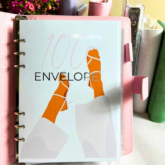 100 Envelope Savings Challenge ( Binder Insert)
