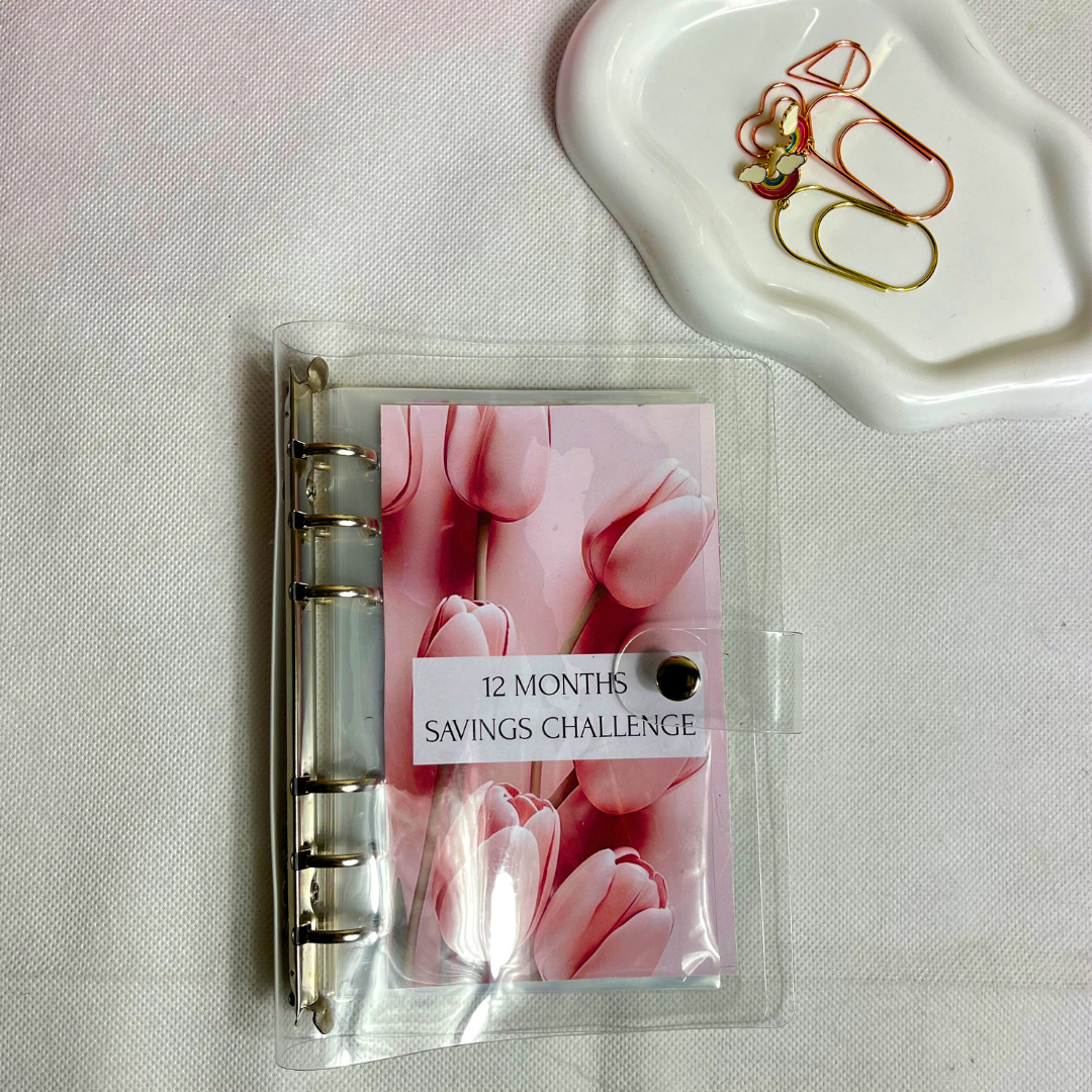 12-Month Savings Tracker  Plan Your Year, Build Your Savings