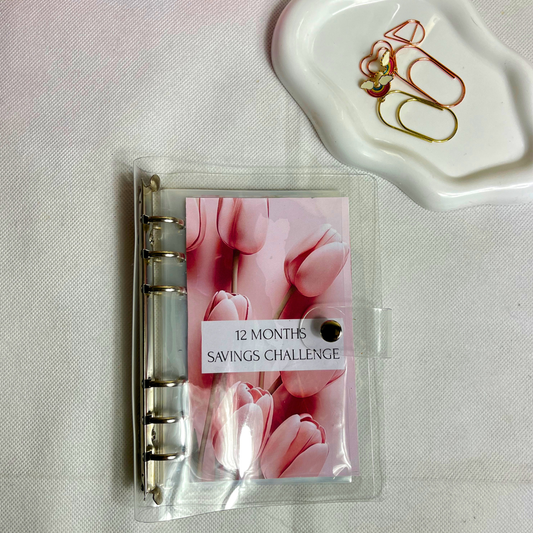 12-Month Savings Tracker  Plan Your Year, Build Your Savings